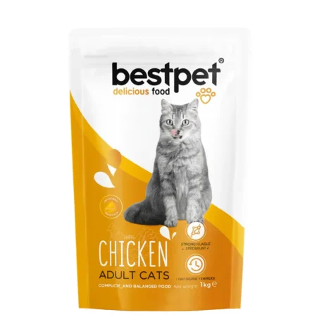 Bestpet With Chicken Adult Cats Dry Food 1KG