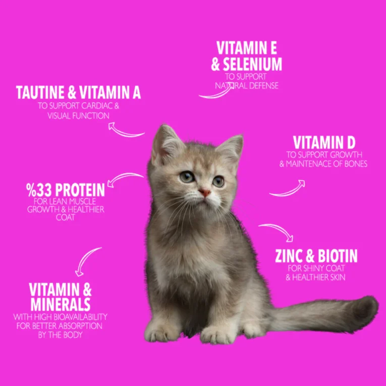 Legends For Kitten Dry Food 3