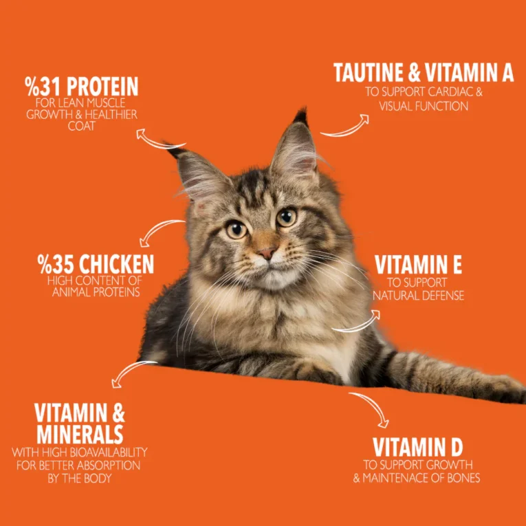 Legends Wholesome Chicken Feed For Adult Cats 5