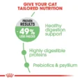 Royal Canin Digestive Care Dry Food – (Sensitive Stomachs, Adult Cats) 4