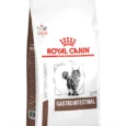 Royal Canin Gastrointestinal For Cat 1