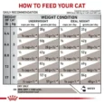 Royal Canin Gastrointestinal For Cat 4