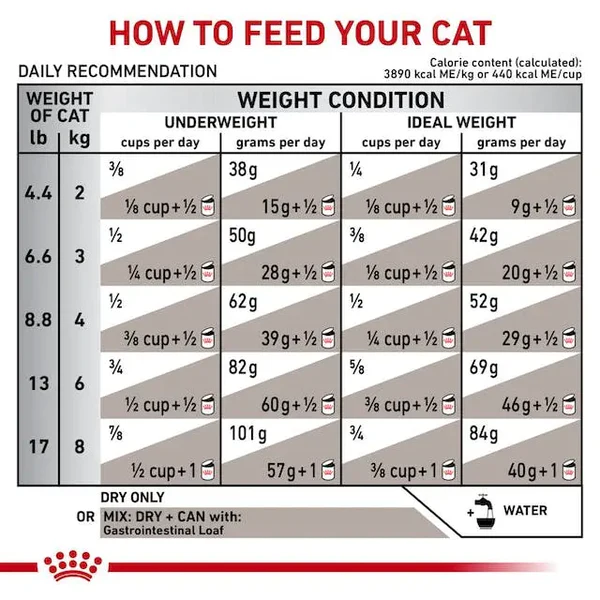 Royal Canin Gastrointestinal For Cat 4