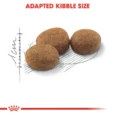 Royal Canin Sterilised 37 Dry Food – (Neutered Adult Cats) 5