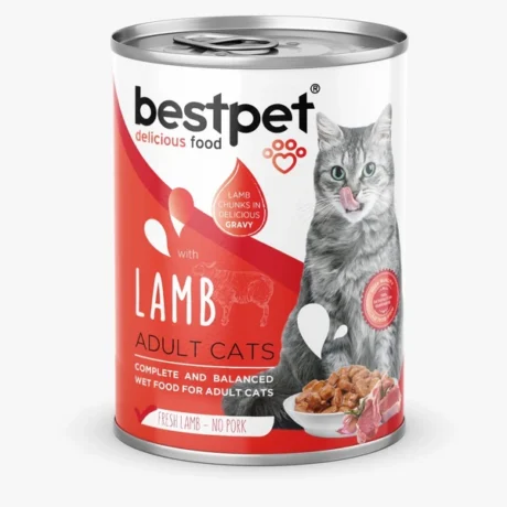 Bestpet wet food with Lamb 400 gm