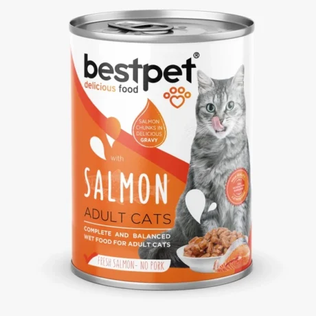 Bestpet wet food with salmon 400 gm