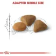 Royal Canin Exigent Savour 3