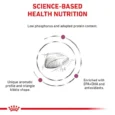 Royal Canin Feline Renal Cat Dry Food 2