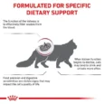 Royal Canin Feline Renal Cat Dry Food 3