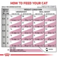 Royal Canin Feline Renal Cat Dry Food 4