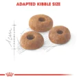 Royal Canin Fit 32 Dry Food for Cats 2