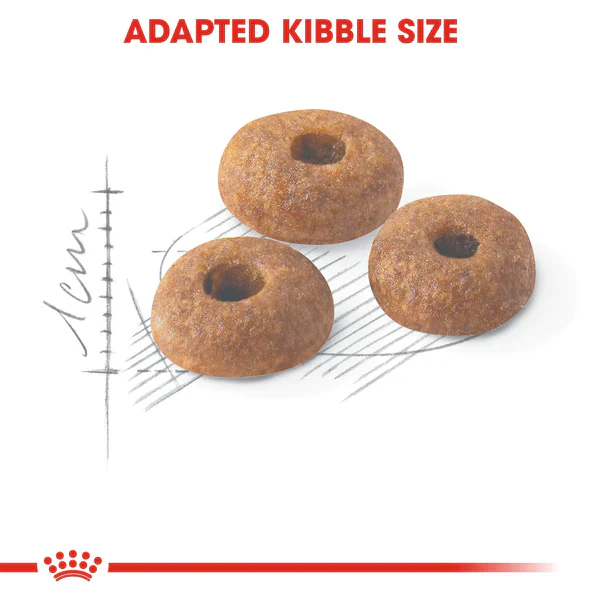 Royal Canin Fit 32 Dry Food for Cats 2