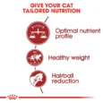 Royal Canin Fit 32 Dry Food for Cats 3