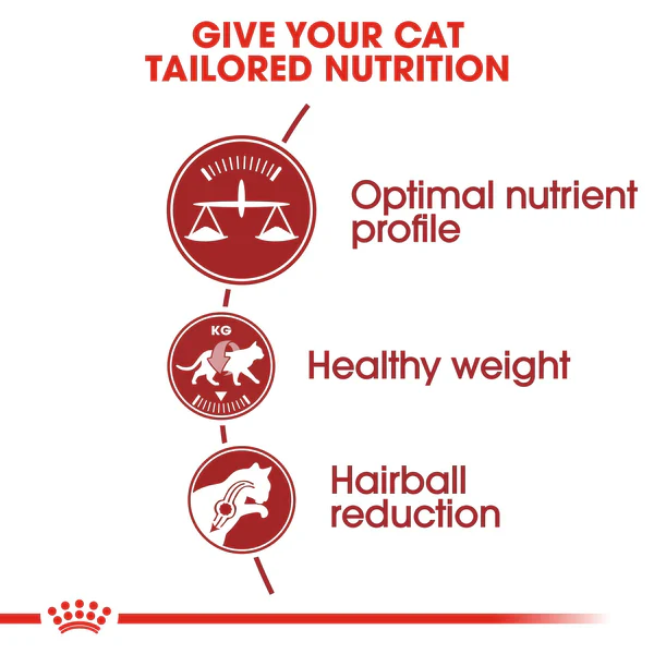 Royal Canin Fit 32 Dry Food for Cats 3