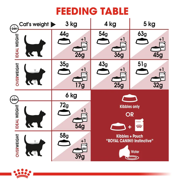 Royal Canin Fit 32 Dry Food for Cats 5