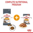 Royal Canin Hair and Skin Care 3