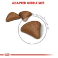 Royal Canin Hairball Care Adult 2
