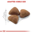 Royal Canin Indoor 27 2