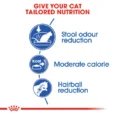 Royal Canin Indoor 27 4