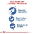 Royal Canin Indoor Long Hair 2
