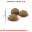 Royal Canin Indoor Long Hair 3