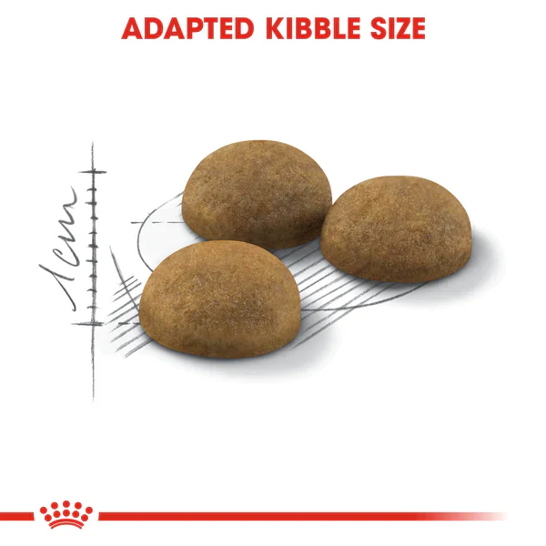 Royal Canin Indoor Long Hair 3