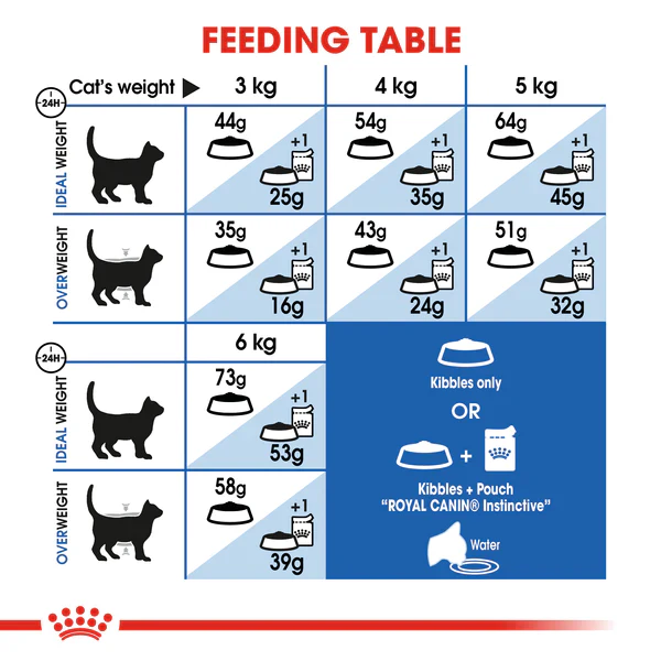 Royal Canin Indoor Long Hair 4