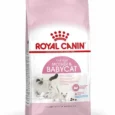 Royal Canin Mother and Babycat 1