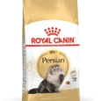 Royal Canin Persian Adult 1