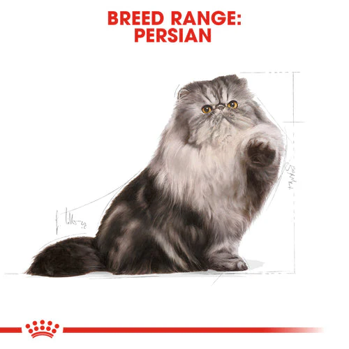 Royal Canin Persian Adult 3