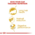 Royal Canin Persian Adult 4