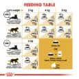 Royal Canin Persian Adult 5