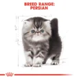 Royal Canin Persian Kitten 3