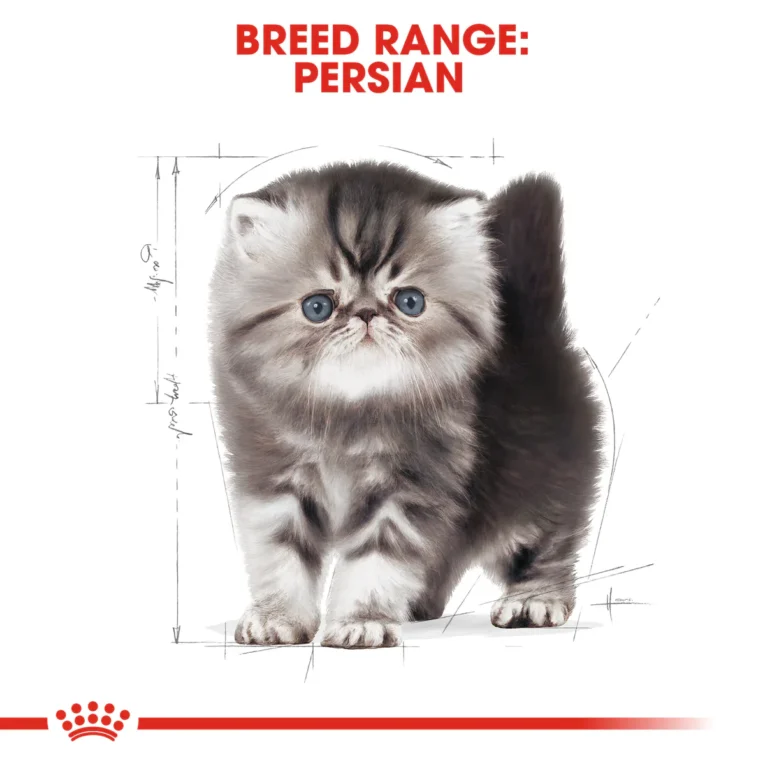 Royal Canin Persian Kitten 3