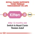Royal Canin Persian Kitten 4