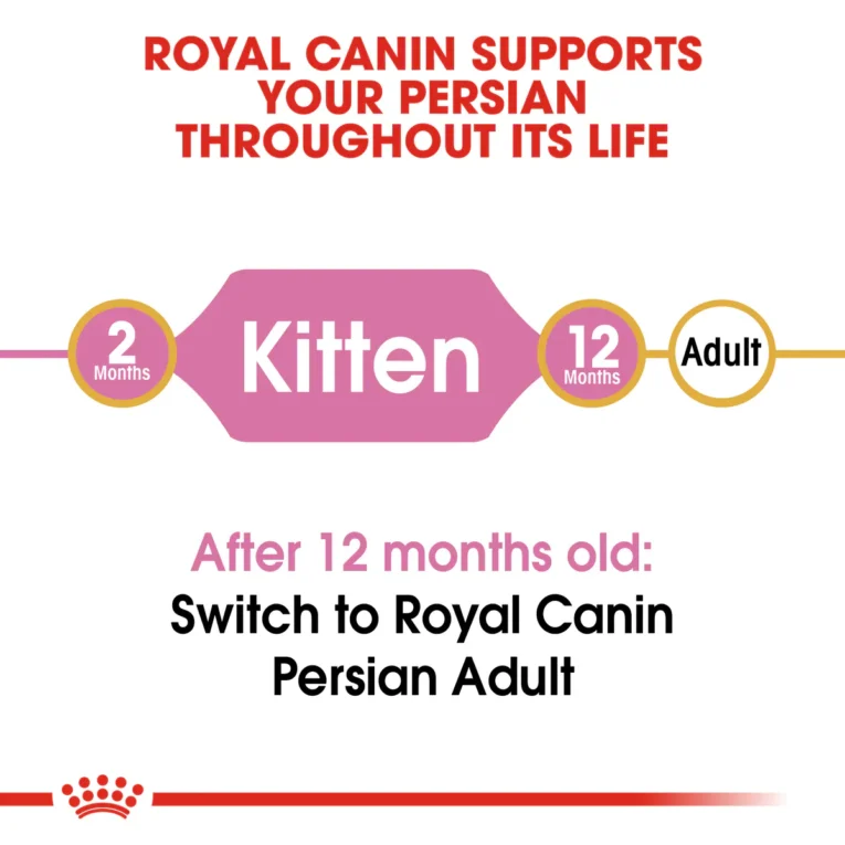 Royal Canin Persian Kitten 4