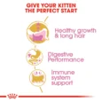 Royal Canin Persian Kitten 5