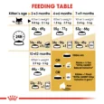 Royal Canin Persian Kitten 7