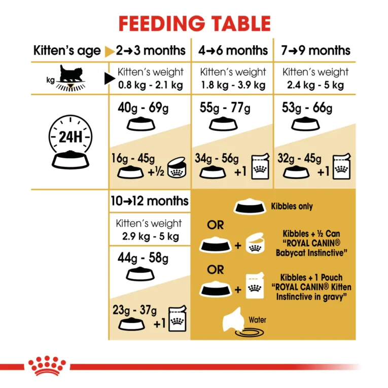 Royal Canin Persian Kitten 7